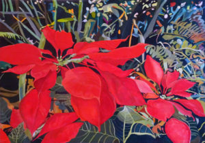 Poinsettia 