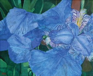 Blue Irises