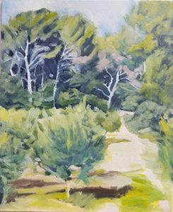Olive grove 