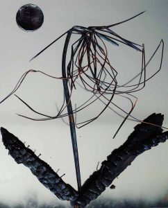 Fleur du mal 