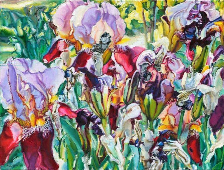 About Irises