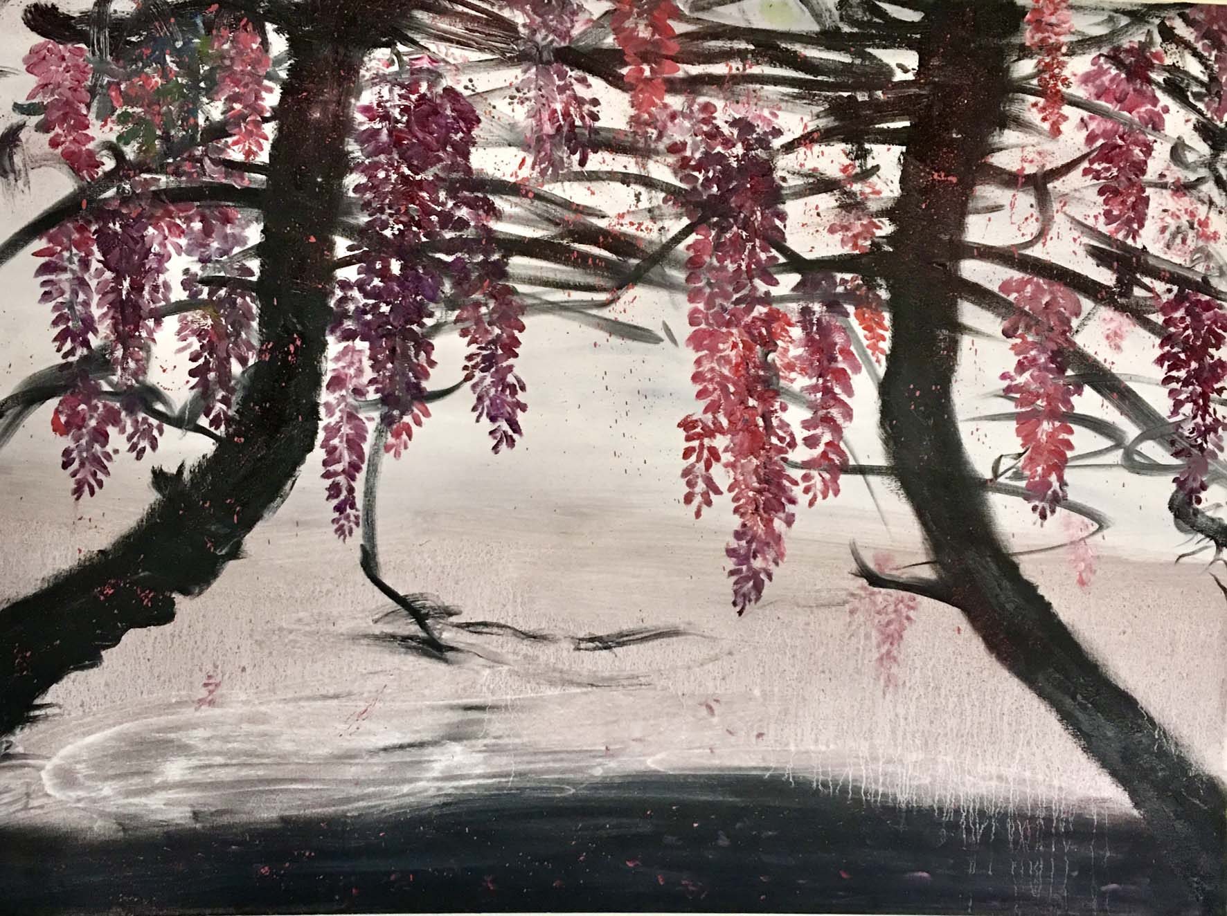 garden wisteria