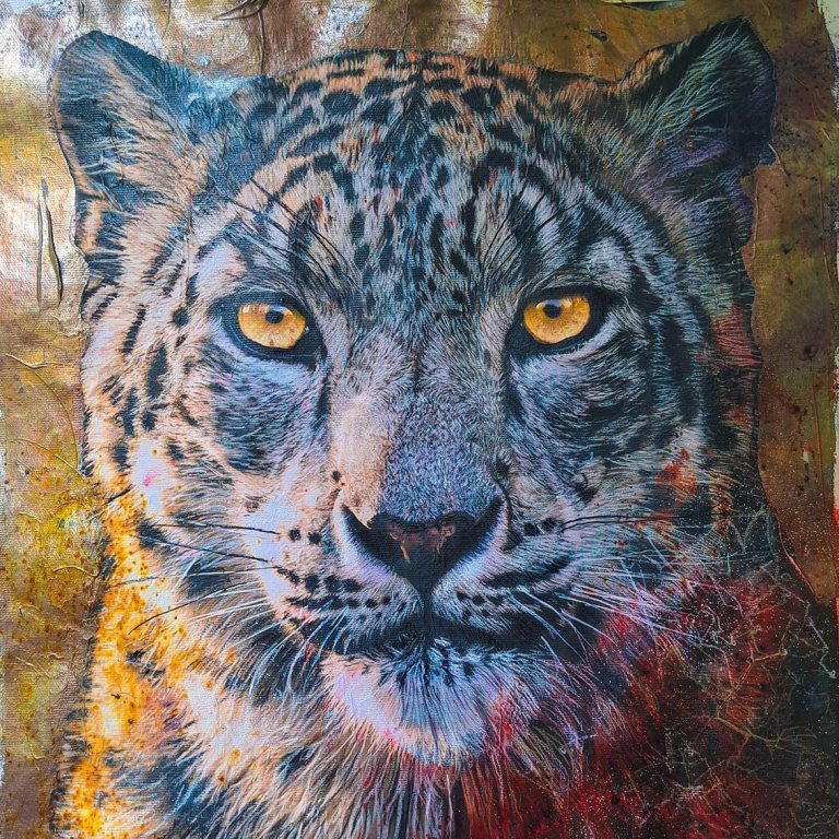 Snow Leopard