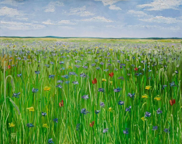 Flower field